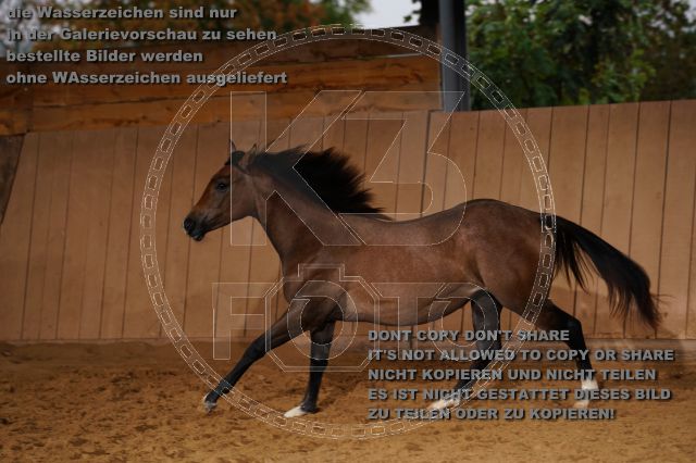 s_K3F05468.JPG